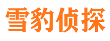 武山出轨调查